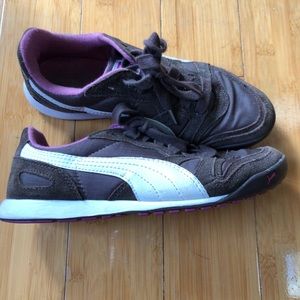 Brown and pink Pumas